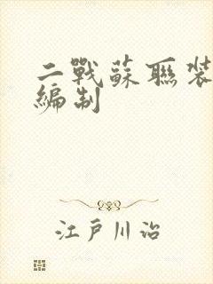 二战苏联装甲师编制