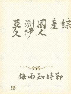 亚洲国产综合久久伊人