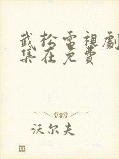 武松电视剧50集在免费