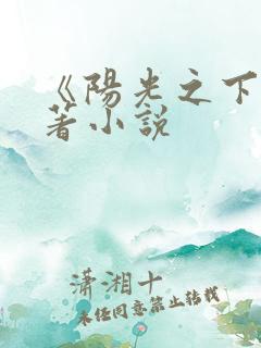 《阳光之下》原著小说