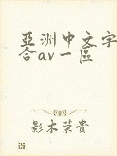 亚洲中文字幕综合av一区