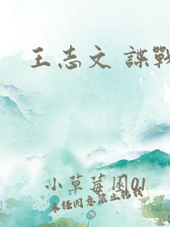 王志文 谍战片