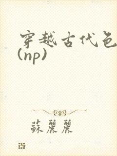 穿越古代色美男(np)