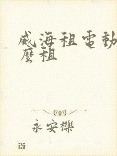 威海租电动车怎么租