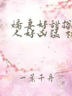 娇妻好甜总裁大人好凶猛 初晴