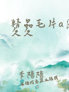 精品毛片a区久久久