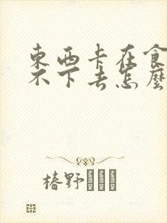 东西卡在食道咽不下去怎么办