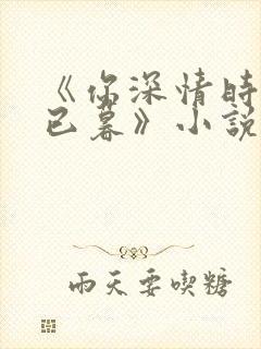 《你深情时我心已暮》小说