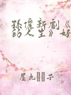 孙俪新剧《蛮好的人生》好看吗