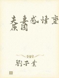 夫妻感情变淡的原因