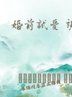 婚前试爱 视频