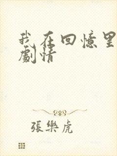 我在回忆里等你剧情