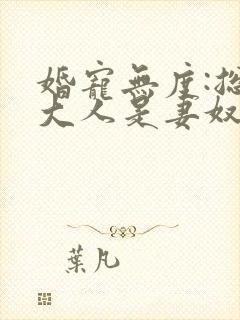 婚宠无度:总裁大人是妻奴 小说