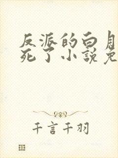 反派的白月光又死了小说免费阅读