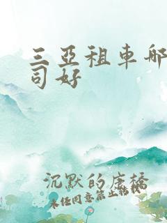 三亚租车哪家公司好