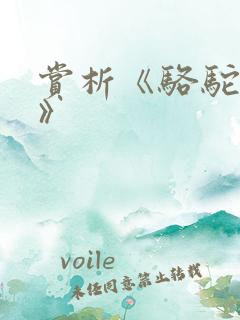 赏析《骆驼祥子》