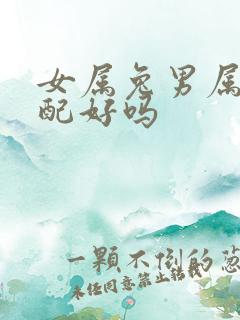 女属兔男属蛇婚配好吗