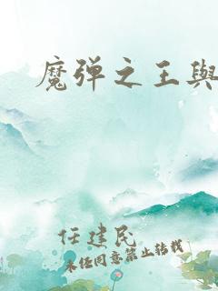 魔弹之王与战姬