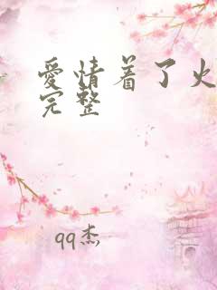 爱情着了火歌词完整