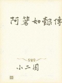 阿箬如懿传