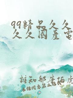99精品久久久久久国产电影