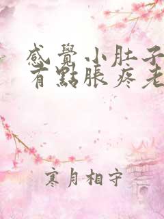 感觉小肚子下坠有点胀疼老感觉有尿