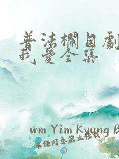 普法栏目剧永失我爱全集