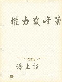 权力巅峰萧逸