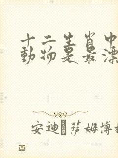 十二生肖中什么动物是最漂亮的