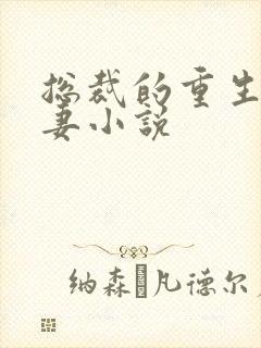 总裁的重生腹黑妻小说