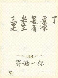玉米是煮了冻还是生着冻
