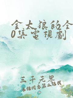 金太狼的全部40集电视剧