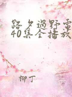 路夕过野电视剧40集全播放
