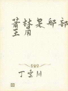 萧林是哪部小说主角