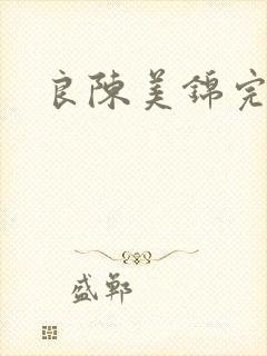 良陈美锦完结