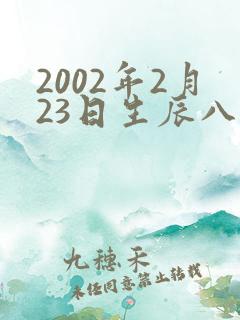 2002年2月23日生辰八字