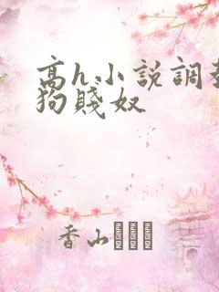 高h小说调教母狗贱奴