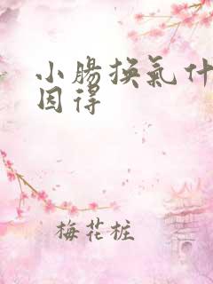 小肠换气什么原因得