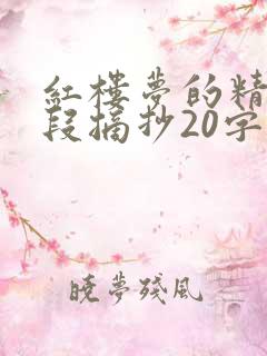 红楼梦的精彩句段摘抄20字
