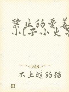 禁止的爱善良的小[子小火星