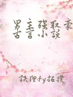 男主强取豪夺的古言小说