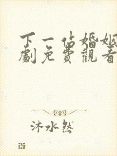 下一站婚姻电视剧免费观看全集