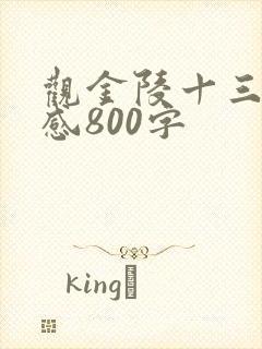 观金陵十三钗有感800字