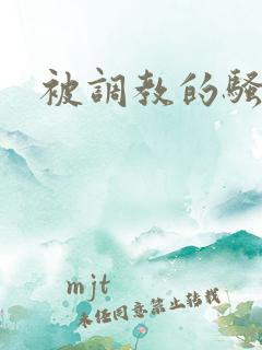 被调教的骚妈妈