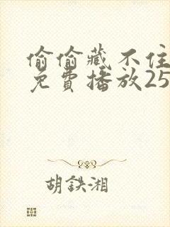 偷偷藏不住全集免费播放25