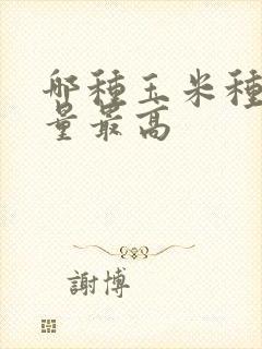 哪种玉米种子产量最高