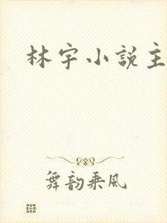 林宇小说主角