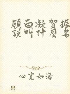 顾白凝贺振冬小说叫什么名字