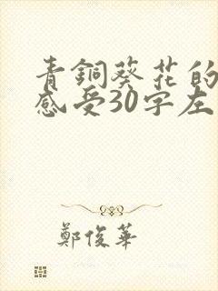 青铜葵花的读后感受30字左右