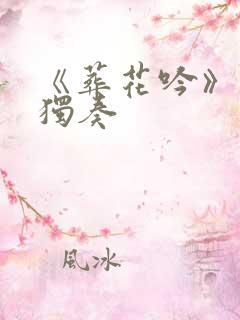 《葬花吟》琵琶独奏